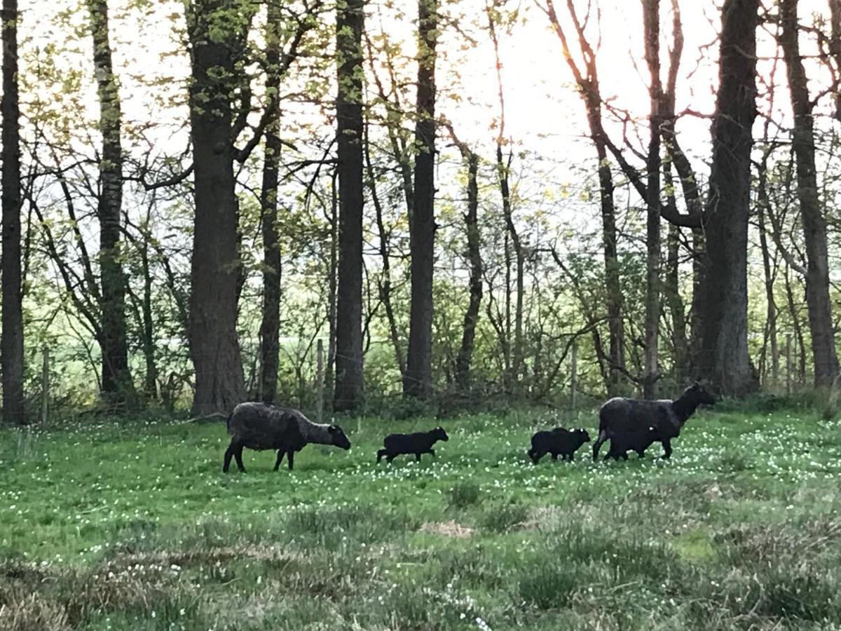 Prostens Bed & Breakfast Getinge Zewnętrze zdjęcie